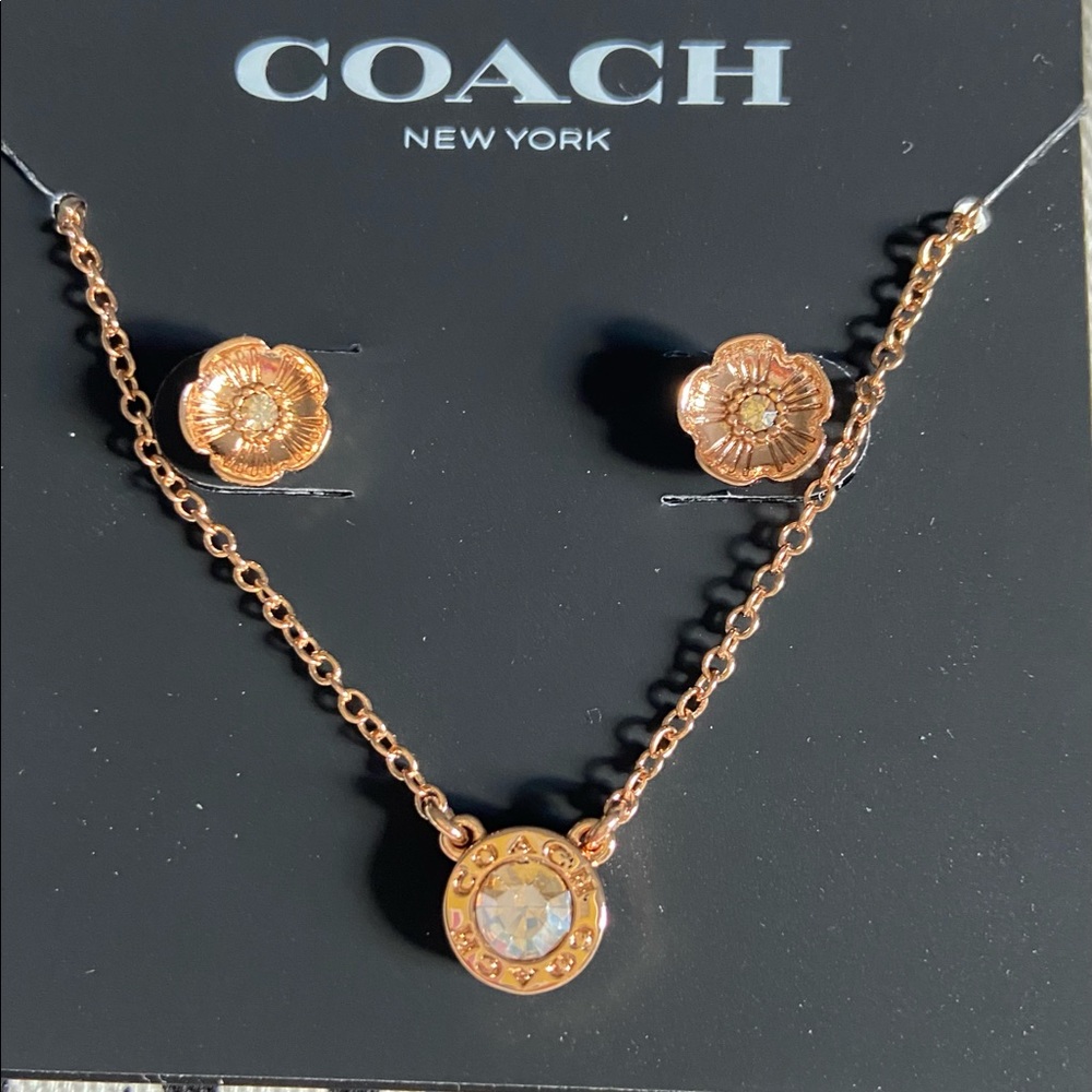 Coach earrings and necklace in rose gold